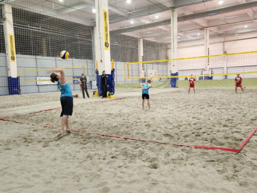 Honey Volley